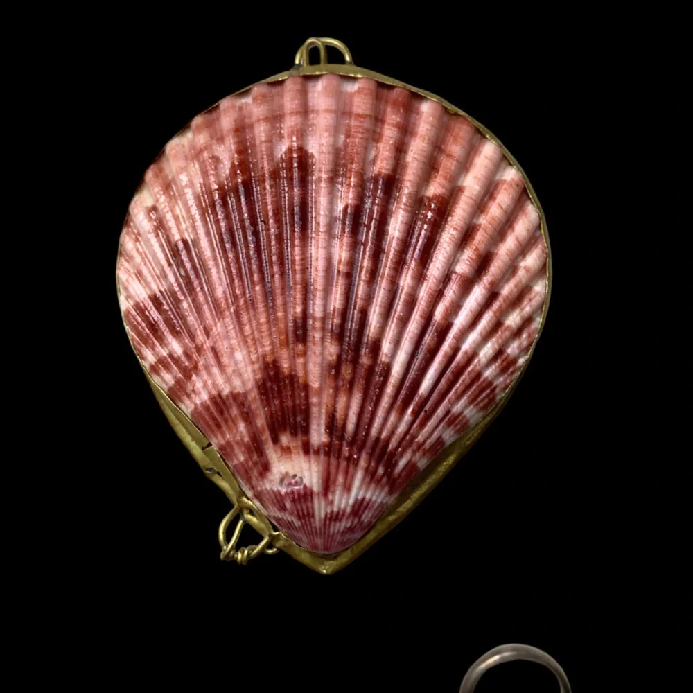 New Two’s Company Real Sea Shell Sunset Colors Ring Holder Pill Box Trinket - Picture 4 of 7